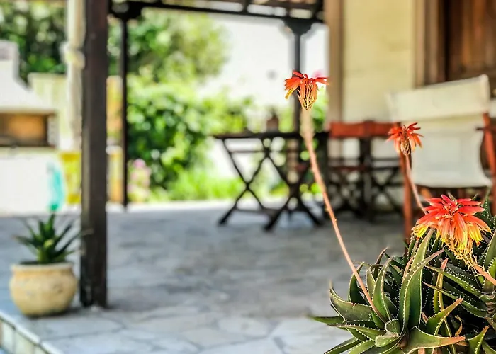 Sea Zoe, Summer House 度假居