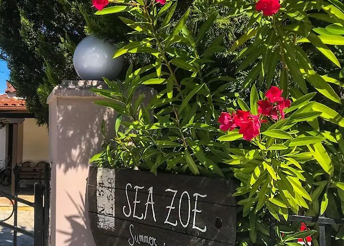 Sea Zoe, Summer House